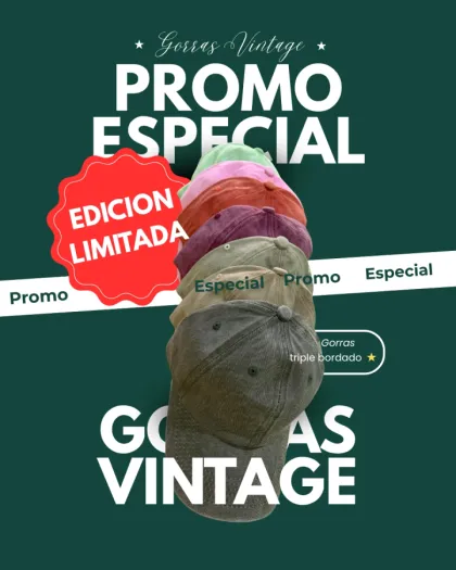 Gorra Vintage Calidad premium 4173/4183